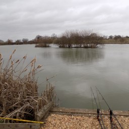 Welcome to Carp ‘O’ Mania