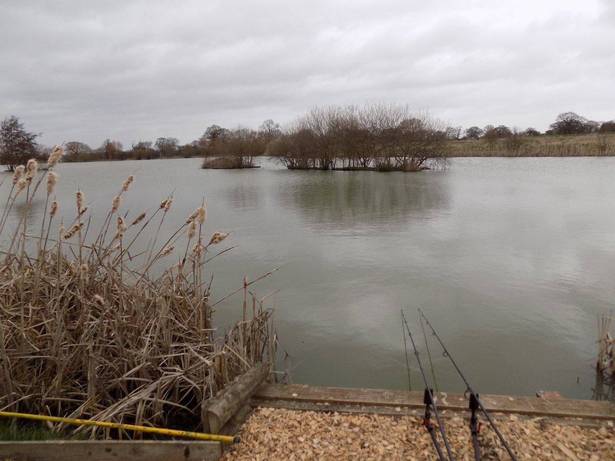 Welcome to Carp ‘O’ Mania